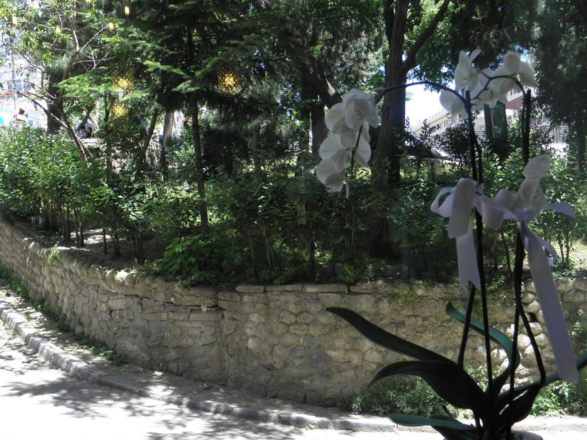 Omar Sultan Park Suites Istanbul Bagian luar foto